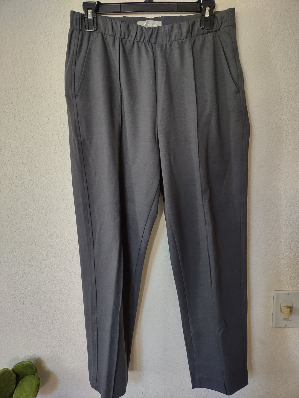 Everlane Charcoal Drawstring Dress Pants